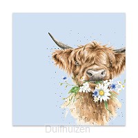 servet groot highland coo