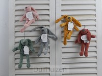 Mini Rabbit Richie d