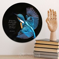 Muurcirkel ijsvogel