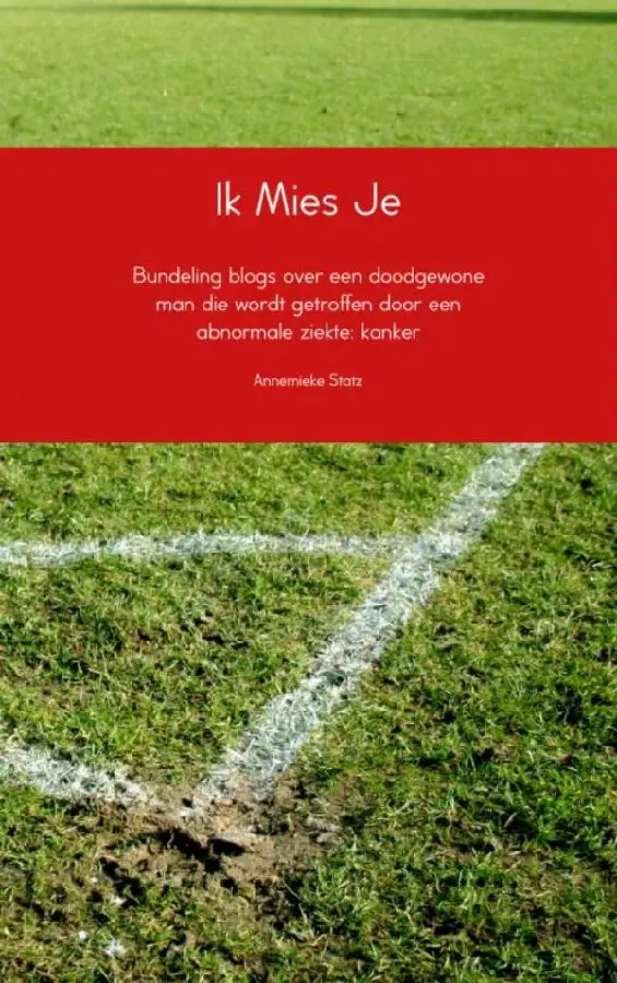 Ik mies je