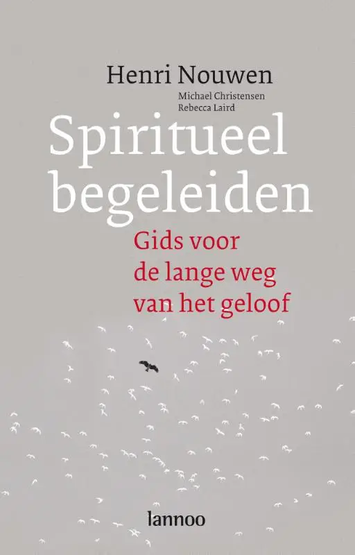 Spiritueel begeleiden  POD