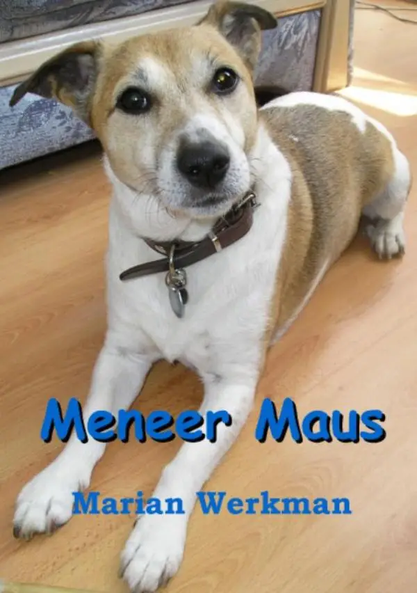 Meneer maus
