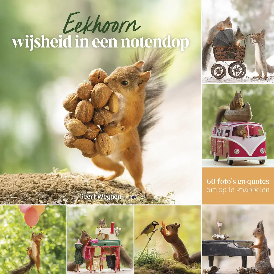 Eekhoorn wijsheid in een notendop
