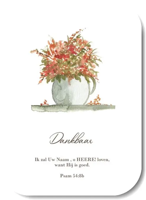 Wenskaart Blanco jongen