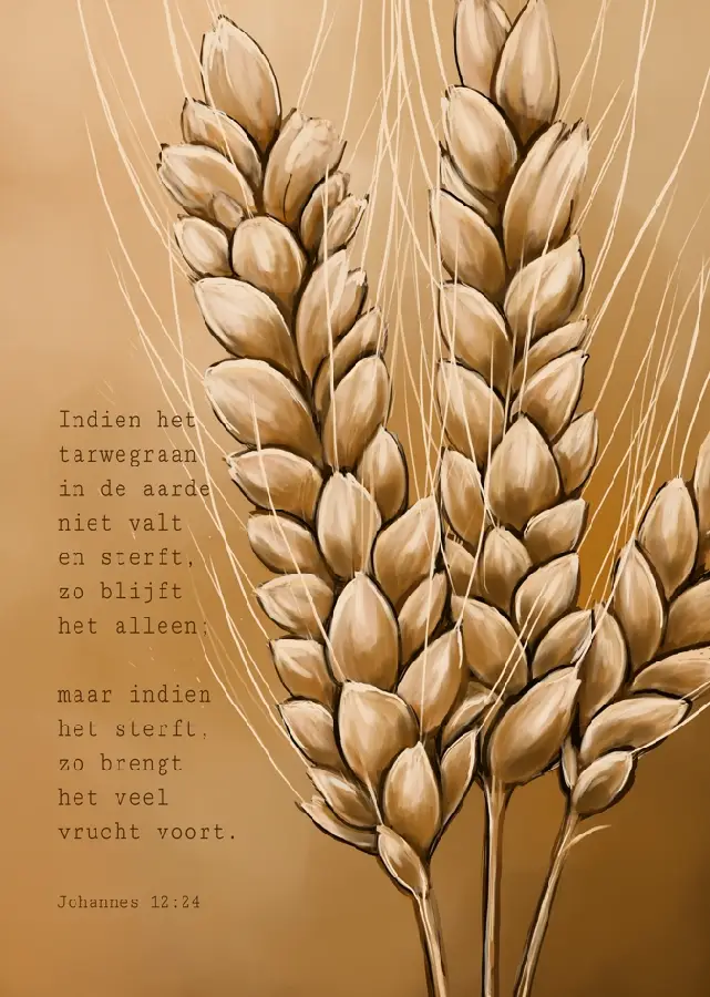 Wenskaart Indien het tarwegraan