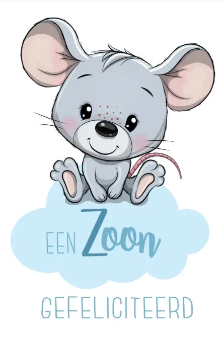 Wenskaart geboorte zoon
