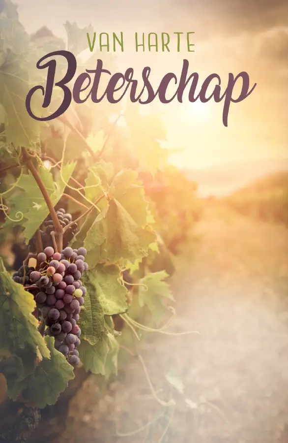 Van harte beterschap