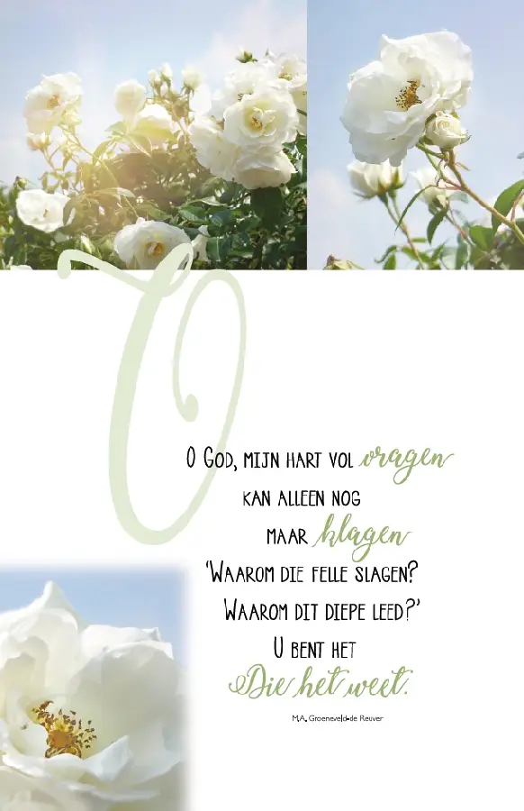 Wenskaart Mijn genade is u genoeg