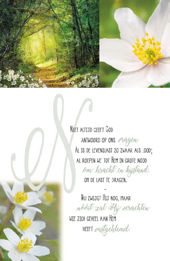 Wenskaart bemoediging Stil maar Mijn kin