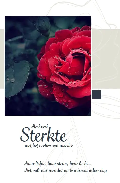 Wenskaart alle steun