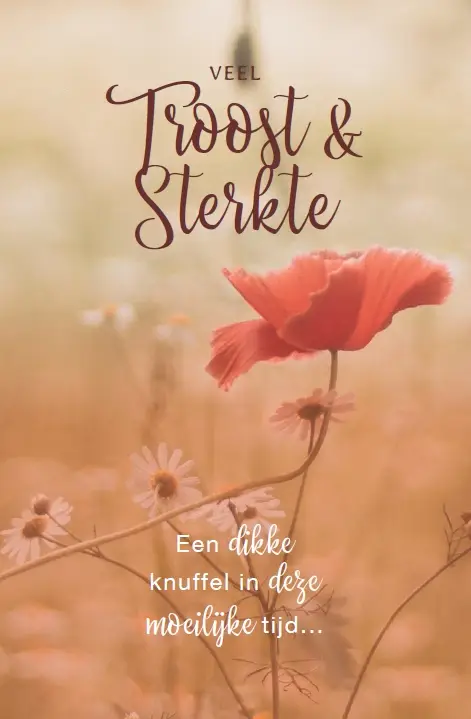 Wenskaart verlies vader