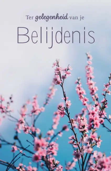 Wk Ter gelegenheid je belijdenis