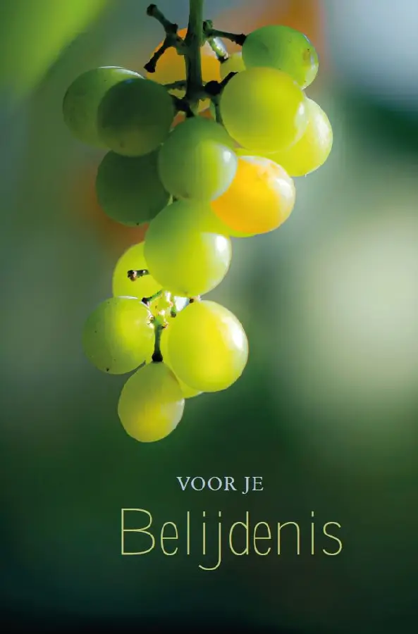 Voor je belijdenis 8109