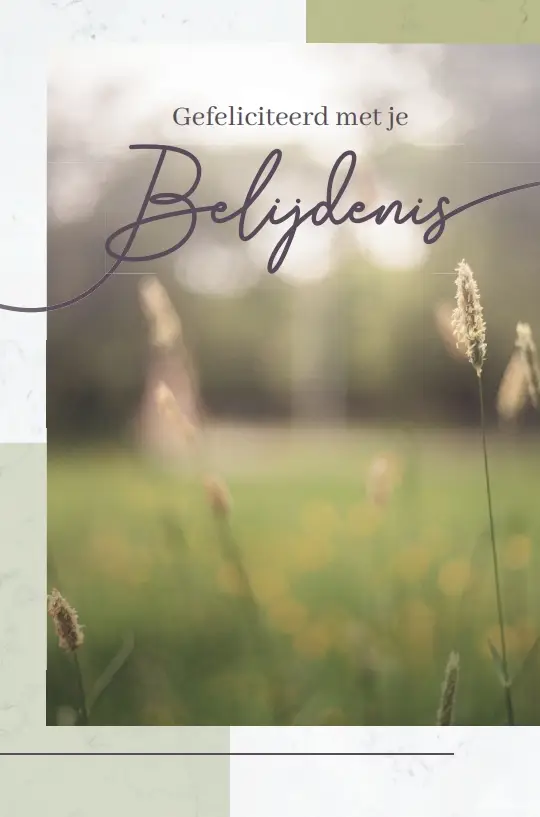 Wk Gef. je belijdenis