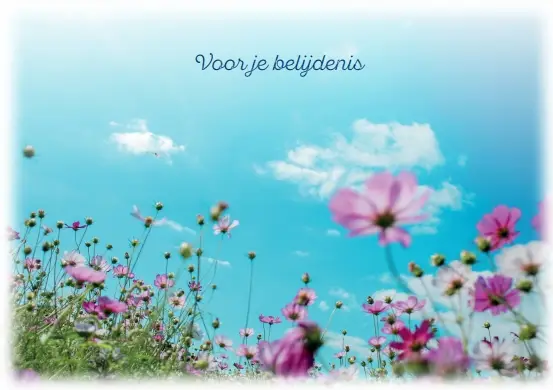 Ansicht Voor je belijdenis