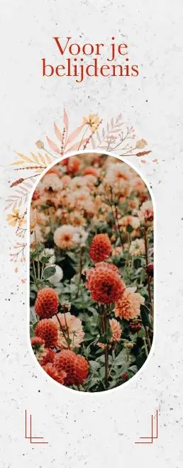 boekenlegger belijdenis