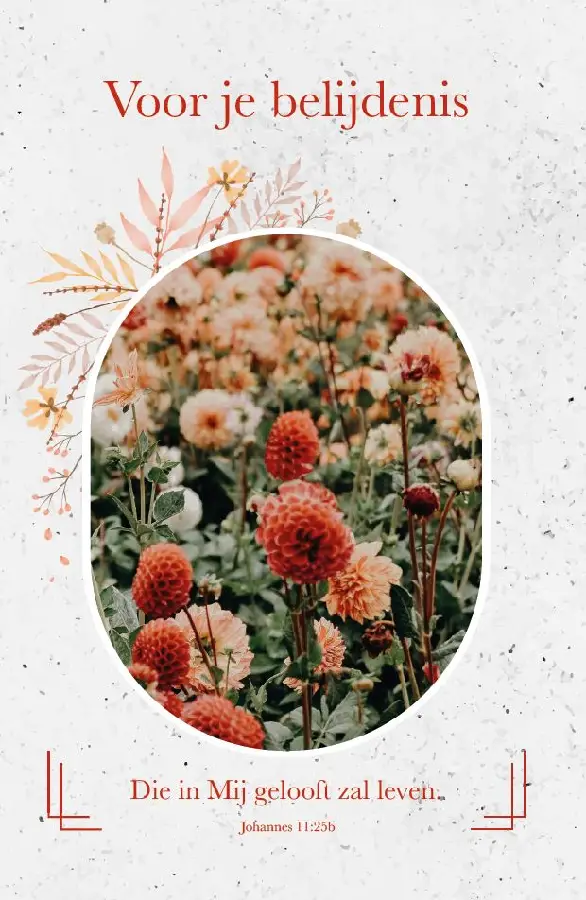 Voor je belijdenis SV