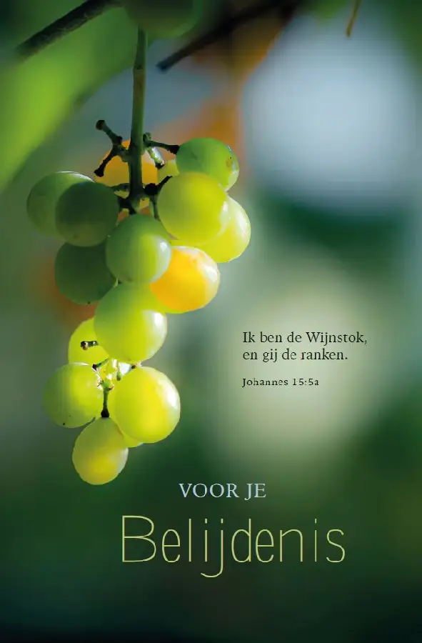 Ik ben de wijnstok