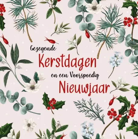 8 luxe kerstkaarten Gezegende kerstdagen