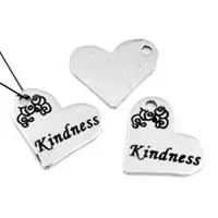 Bedel kindness zilverkleur 2x