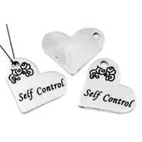 Bedel self control zilverkleur 2x