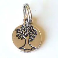 Bedel boom/munt zilverkleur 2x