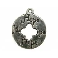 Bedel munt/hope zilverkleur 2x