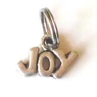 Bedel joy zilverkleurig 2x