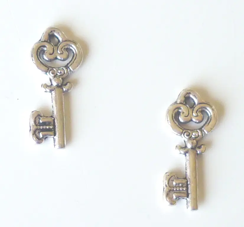 Bedel sleutel zilverkleurig 2x