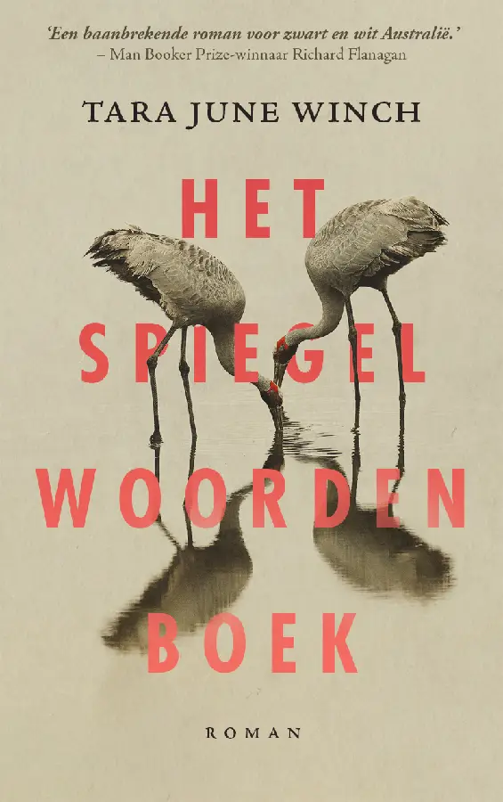 Het spiegelwoordenboek