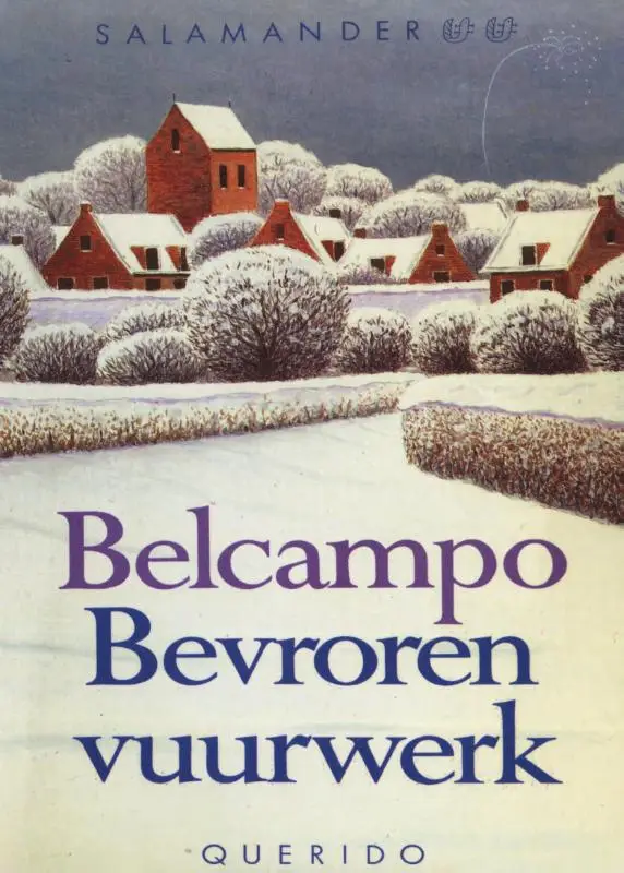 Bevroren vuurwerk