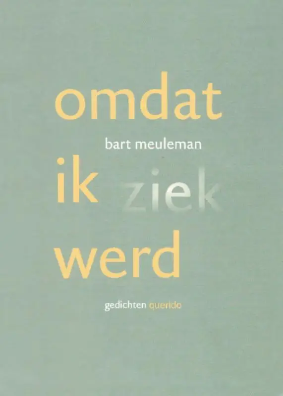 Omdat ik ziek werd